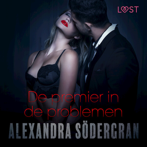 De premier in de problemen - erotisch verhaal - Alexandra Södergran (ISBN 9788726097078)