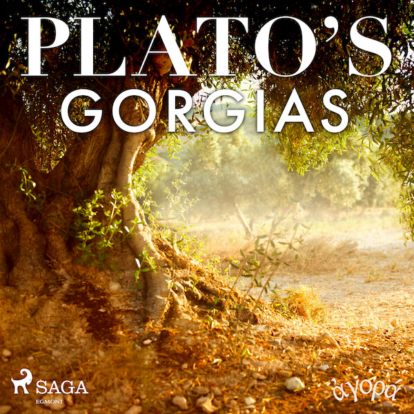 Plato’s Gorgias - Plato (ISBN 9788726425680)