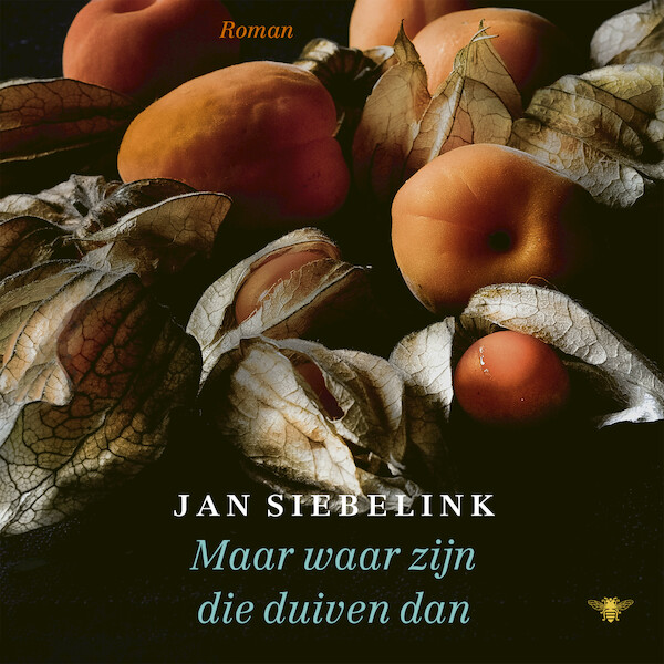 Maar waar zijn die duiven dan - Jan Siebelink (ISBN 9789403101217)