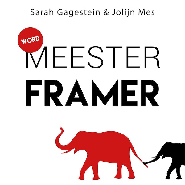 Word meesterframer - Sarah Gagestein, Jolijn Mes (ISBN 9789462552760)