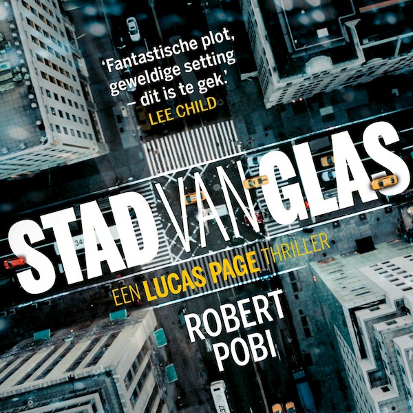 Stad van glas - Robert Pobi (ISBN 9789024591701)