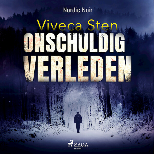 Onschuldig verleden - Viveca Sten (ISBN 9788726355222)