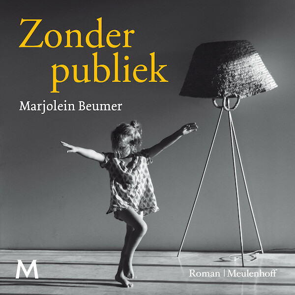 Zonder publiek - Marjolein Beumer (ISBN 9789052862538)