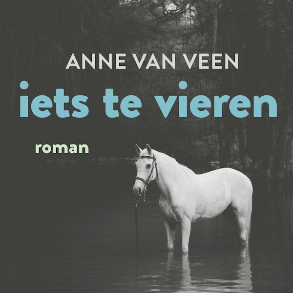 Iets te vieren - Anne van Veen (ISBN 9789044543117)