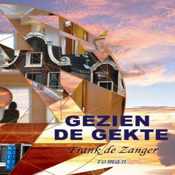 Gezien de gekte - Frank de Zanger (ISBN 9789462174306)