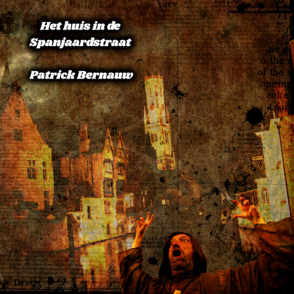 Het huis in de Spanjaardstraat - Patrick Bernauw (ISBN 9789462664456)