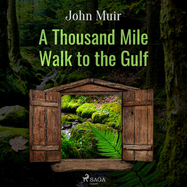 A Thousand Mile Walk to the Gulf - John Muir (ISBN 9788726472837)