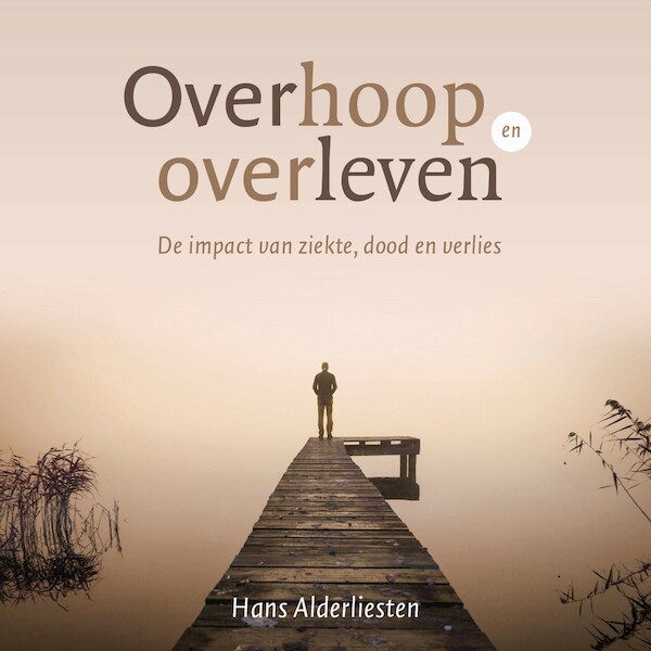 Overhoop en overleven - Hans Alderliesten (ISBN 9789043534727)