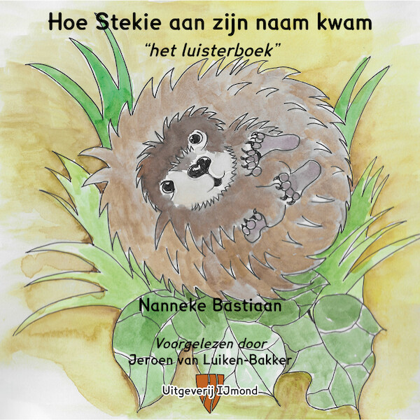 Hoe Stekie aan zijn naam kwam - Nanneke Bastiaan (ISBN 9789492469236)