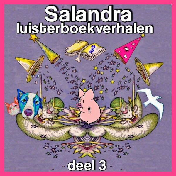 Salandra verhalen - Sandra Koole (ISBN 9789462175150)