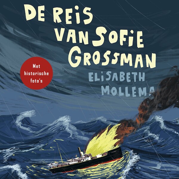 De reis van Sofie Grossman - Elisabeth Mollema (ISBN 9789021425498)