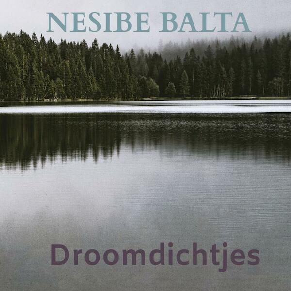 Droomdichtjes - Nesibe Balta (ISBN 9789464186536)