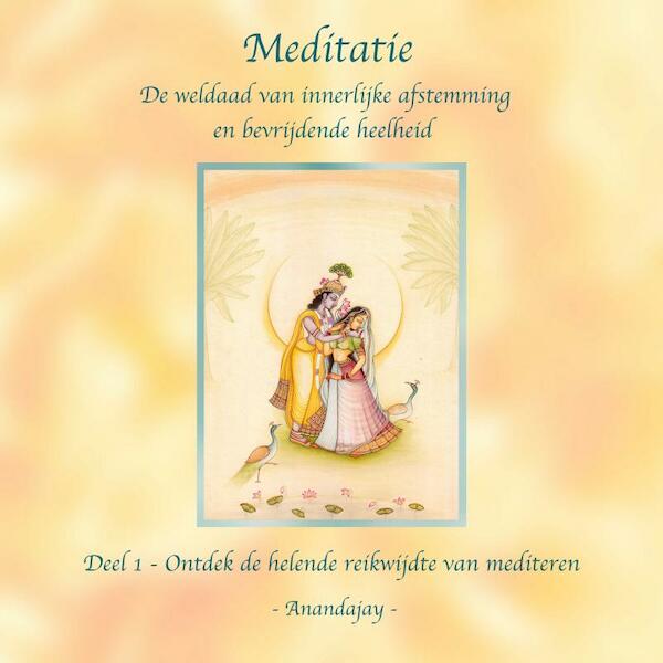 Meditatie, de weldaad van innerlijke afstemming en bevrijdende heelheid - Anandajay (zonder achternaam) (ISBN 9789464186499)