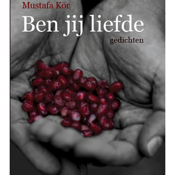 Ben jij liefde - Mustafa Kör (ISBN 9789464340341)