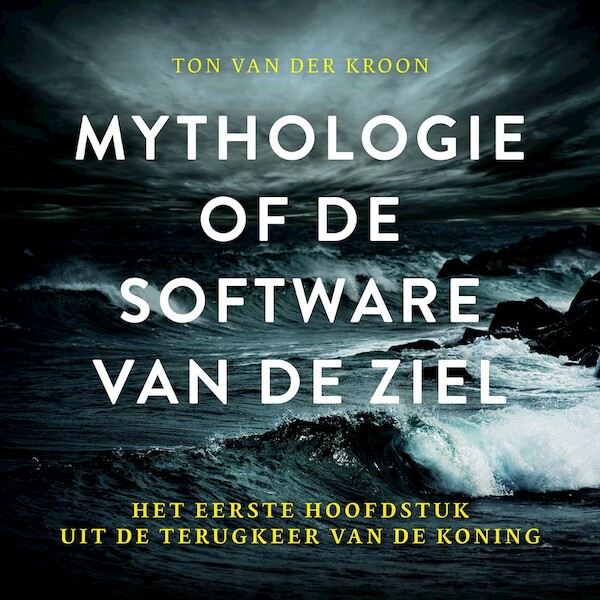 Mythologie of de software van de ziel - Ton van der Kroon (ISBN 9789020218589)