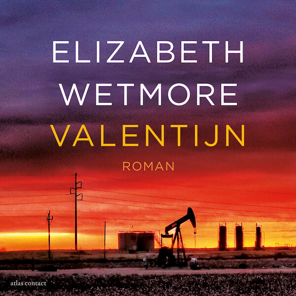 Valentijn - Elizabeth Wetmore (ISBN 9789025471866)
