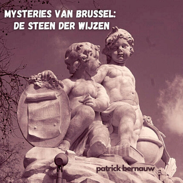 Mysteries van Brussel: De Steen der Wijzen - Patrick Bernauw (ISBN 9789462665002)