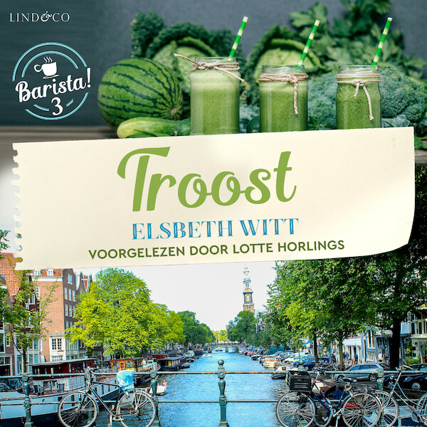 Troost - Elsbeth Witt (ISBN 9789179957001)