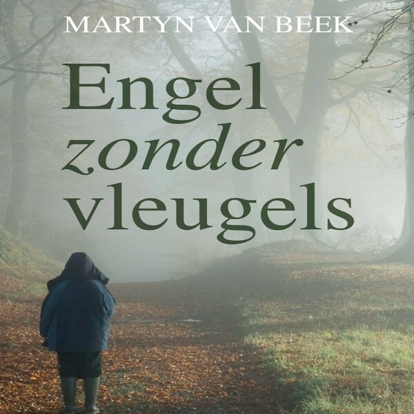 Engel zonder vleugels - Martyn van Beek (ISBN 9789462177932)