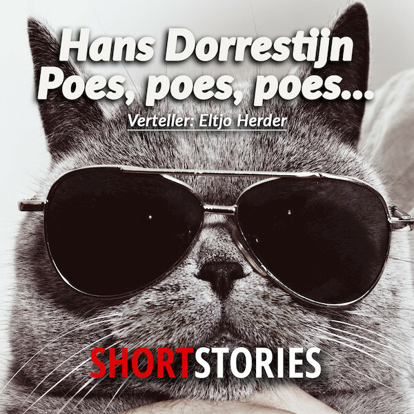 Poes, poes, poes... - Hans Dorrestijn (ISBN 9789462178212)