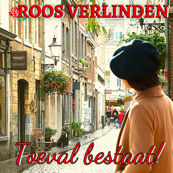 Toeval bestaat! - Roos Verlinden (ISBN 9789462176065)