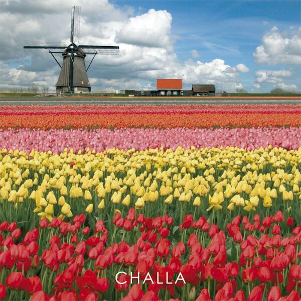 I love tulips - B-J Challa (ISBN 9789078169055)