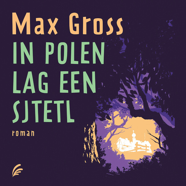 In Polen lag een sjtetl - Max Gross (ISBN 9789046175521)