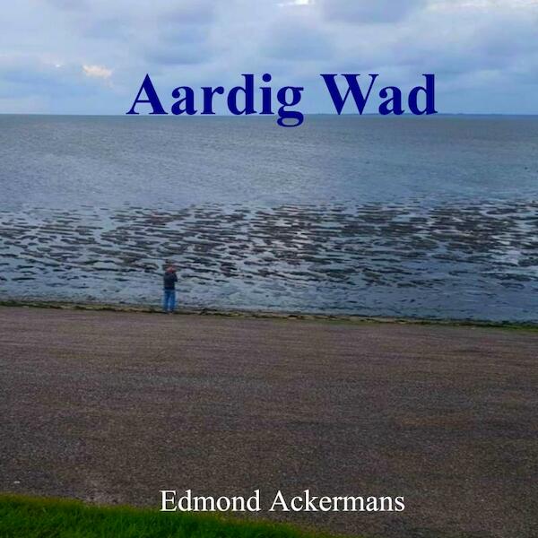 Aardig Wad - Edmond Ackermans (ISBN 9789403650937)