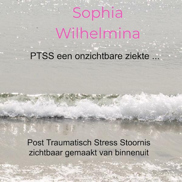 PTSS een onzichtbare ziekte ... - Sophia Wilhelmina (ISBN 9789403668161)