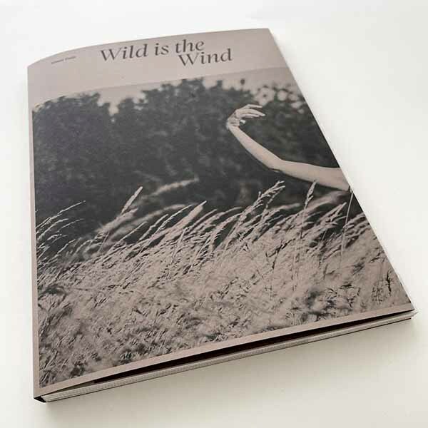 Wild is the wind - Simon Duijs, Dennis Gaens (ISBN 9789462264410)