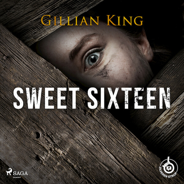 Sweet sixteen - Gillian King (ISBN 9788728019740)