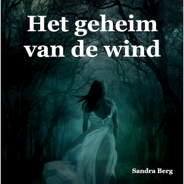 Het geheim van de wind - Sandra Berg (ISBN 9789462179769)