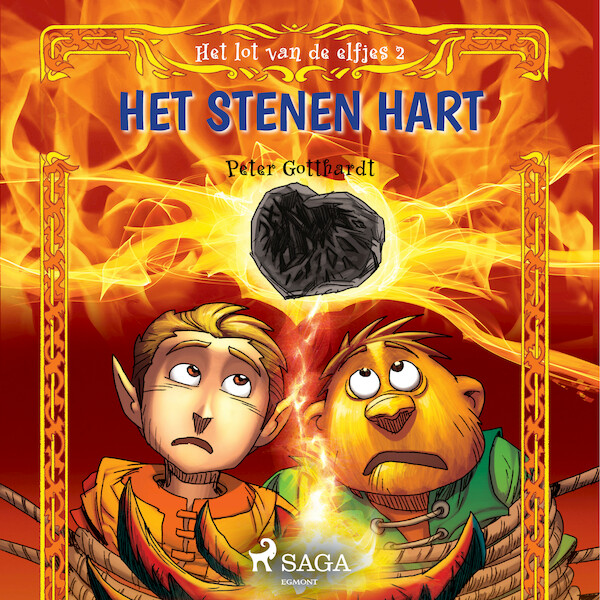 Het lot van de elfjes 2 - Het stenen hart - Peter Gotthardt (ISBN 9788728083222)