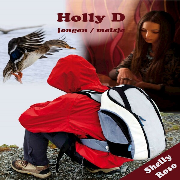 Holly D - Shelly Roso (ISBN 9789464490060)