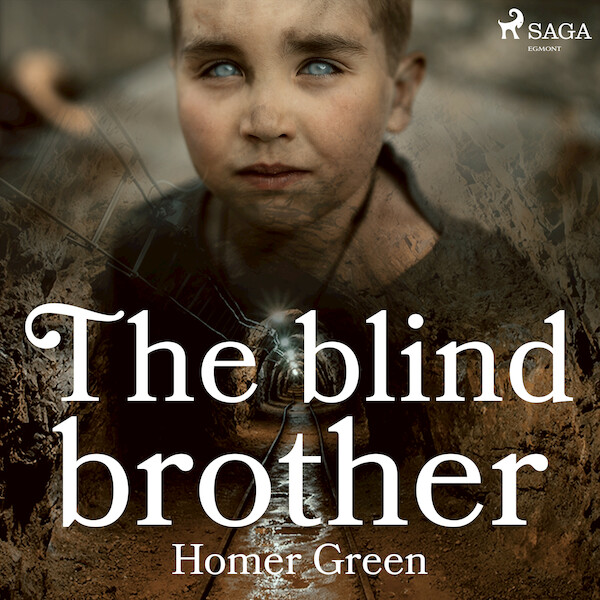 The Blind Brother - Homer Green (ISBN 9788726472738)