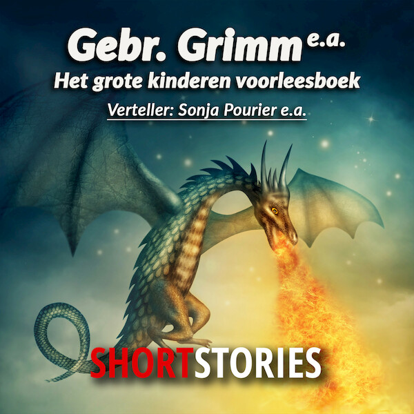 Het grote kinder voorleesboek - Gebroeders Grimm, Anneke Bloemen, Nelly Kunst, Clare Lennart (ISBN 9789464490398)