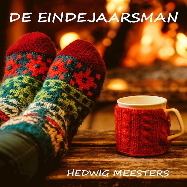 De eindejaarsman - Hedwig Meesters (ISBN 9789464490497)