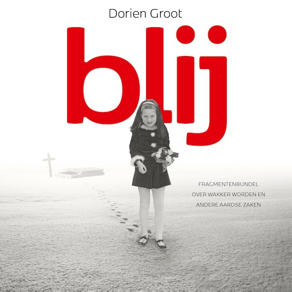 Blij - Dorien Groot (ISBN 9789493191914)