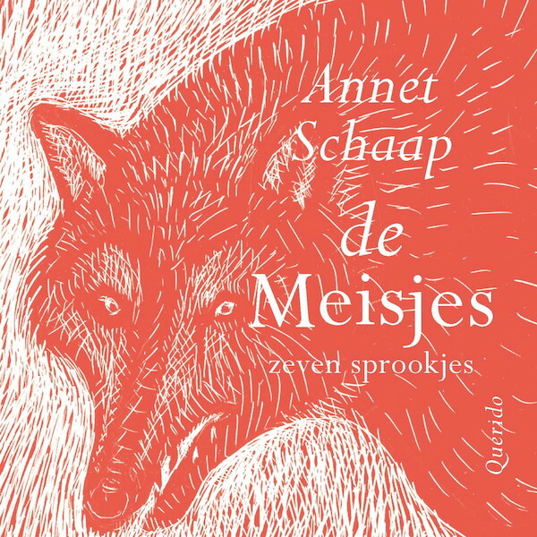 De meisjes - Annet Schaap (ISBN 9789045126944)