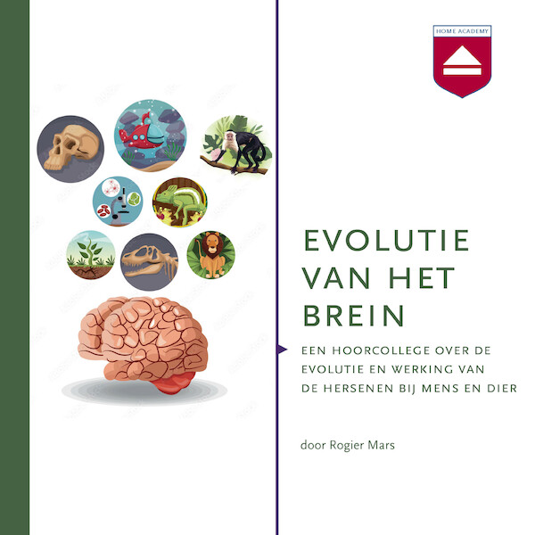 Evolutie van het brein - Rogier Mars (ISBN 9789085302278)