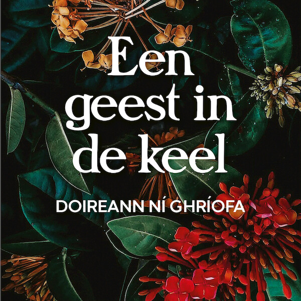 Een geest in de keel - Doireann Ní Ghríofa (ISBN 9789028262416)