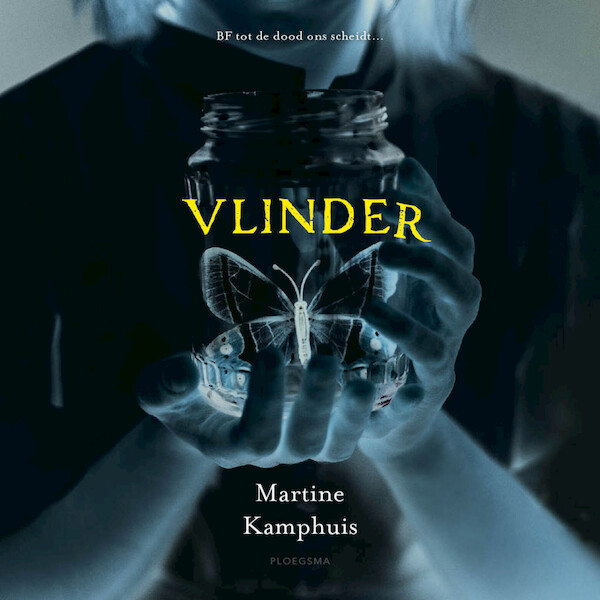 Vlinder - Martine Kamphuis (ISBN 9789021683607)