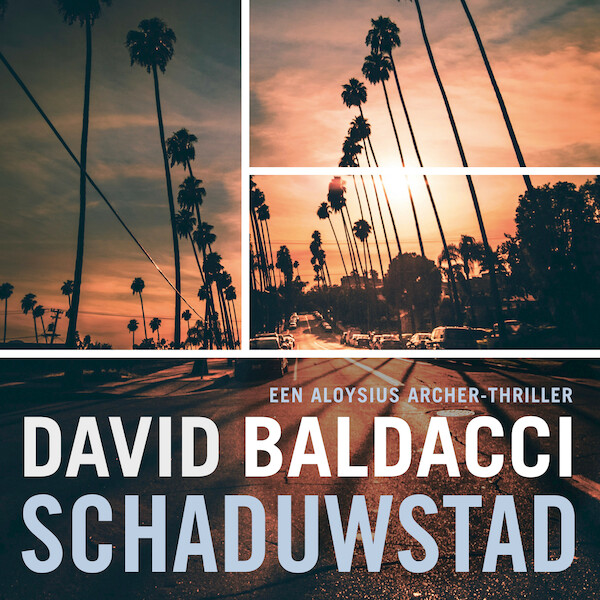 Schaduwstad - David Baldacci (ISBN 9789046173992)