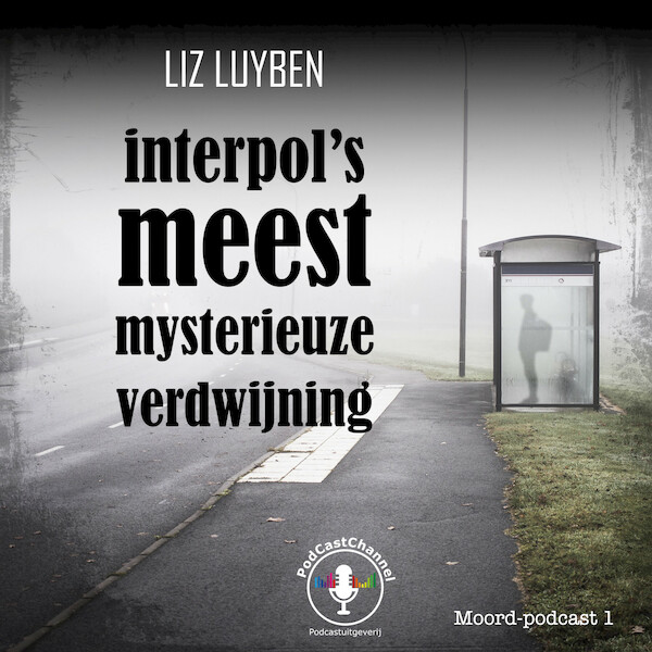 Interpol's meest mysterieuze verdwijning - Liz Luyben (ISBN 9789464493504)