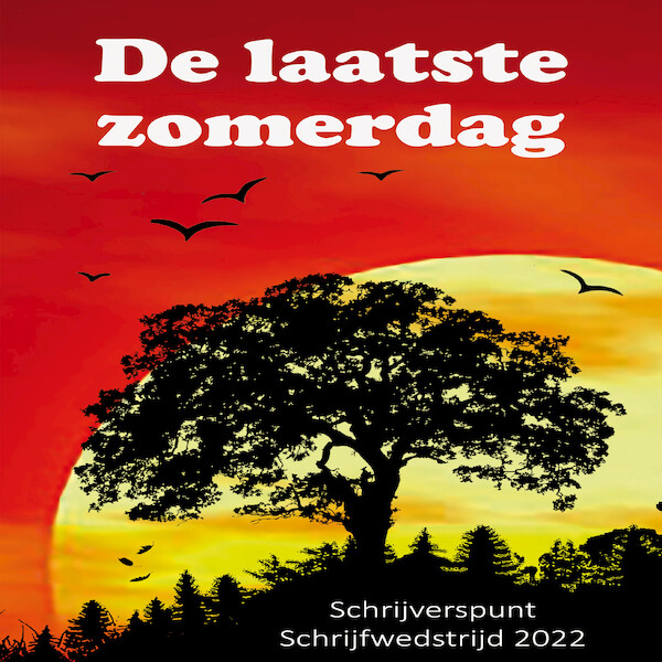 De laatste zomerdag - Marsha van Zanten (ISBN 9789462666191)