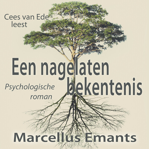 Een nagelaten bekentenis - Marcellus Emants (ISBN 9789493271227)