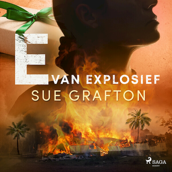 E van explosief - Sue Grafton (ISBN 9788726879261)