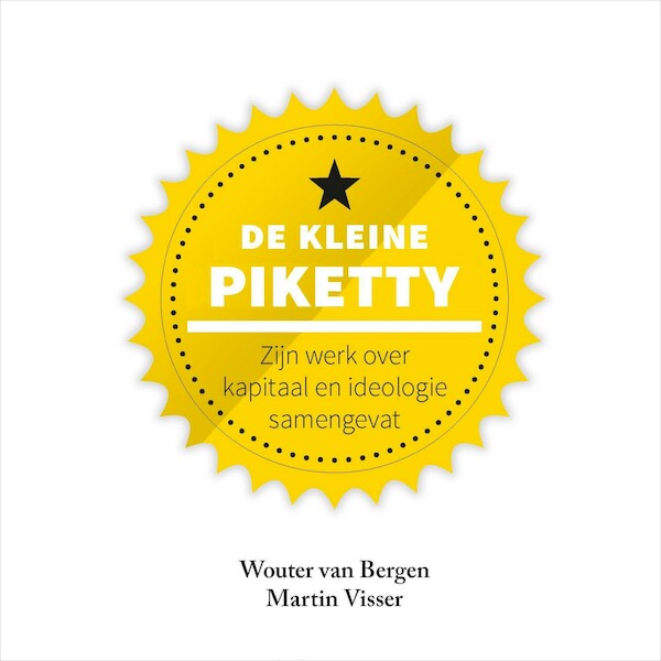 De kleine Piketty - Martin Visser, Wouter van Bergen (ISBN 9789047017332)