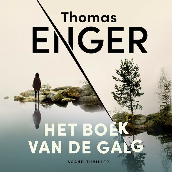 Het boek van de galg - Thomas Enger (ISBN 9789046177273)