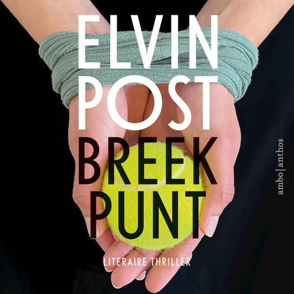 Breekpunt - Elvin Post (ISBN 9789026361869)